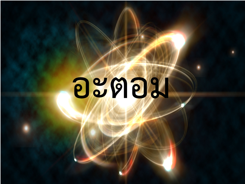 ระบบย่อยอาหาร